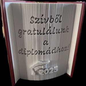 Sculptura unica a cartii de absolvire - Artynos.ro