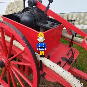 Fireman Sam  - jucării și echipamente pentru copii - plușuri - figurine de pluș - Artynos.ro