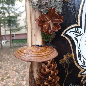 Tablou Natural Licheni Mușchi Mâna lui Fatima - casă & stil de viață - accesorii pentru decorat casa - decorațiuni de pereți, decorațiuni suspendate - tablou cu licheni - Artynos.ro