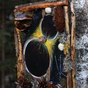 Tablou Natural Licheni Mușchi Univers - casă & stil de viață - accesorii pentru decorat casa - decorațiuni de pereți, decorațiuni suspendate - tablou cu licheni - Artynos.ro