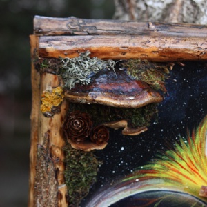 Tablou Natural Licheni Mușchi Univers - casă & stil de viață - accesorii pentru decorat casa - decorațiuni de pereți, decorațiuni suspendate - tablou cu licheni - Artynos.ro