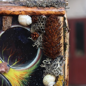 Tablou Natural Licheni Mușchi Univers - casă & stil de viață - accesorii pentru decorat casa - decorațiuni de pereți, decorațiuni suspendate - tablou cu licheni - Artynos.ro