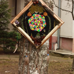 Tablou Natural Licheni Mușchi Mandala - Artynos.ro