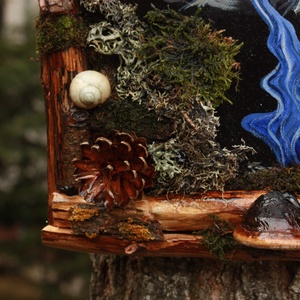 Tablou Natural Licheni Mușchi Muntele - casă & stil de viață - accesorii pentru decorat casa - decorațiuni de pereți, decorațiuni suspendate - tablou cu licheni - Artynos.ro