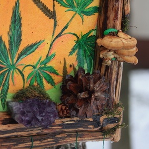 Tablou Natural Licheni Mușchi Canabis - casă & stil de viață - accesorii pentru decorat casa - decorațiuni de pereți, decorațiuni suspendate - tablou cu licheni - Artynos.ro