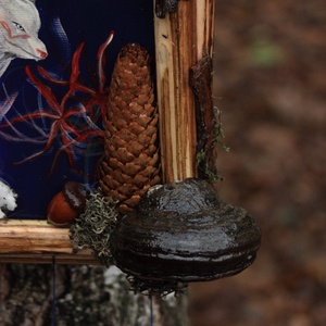 Tablou Natural Licheni Mușchi Vulpea - casă & stil de viață - accesorii pentru decorat casa - decorațiuni de pereți, decorațiuni suspendate - tablou cu licheni - Artynos.ro