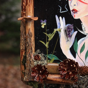 Tablou Natural Licheni Mușchi Vrăjitoarea - casă & stil de viață - accesorii pentru decorat casa - decorațiuni de pereți, decorațiuni suspendate - tablou cu licheni - Artynos.ro