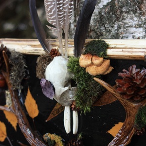 Tablou Natural Licheni Mușchi Pisica Vampir - casă & stil de viață - accesorii pentru decorat casa - decorațiuni de pereți, decorațiuni suspendate - tablou cu licheni - Artynos.ro
