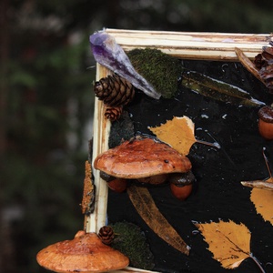 Tablou Natural Licheni Mușchi Pisica Vampir - casă & stil de viață - accesorii pentru decorat casa - decorațiuni de pereți, decorațiuni suspendate - tablou cu licheni - Artynos.ro