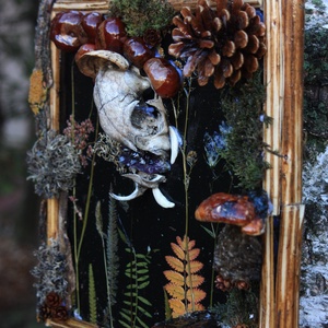 Tablou Natural Licheni Mușchi Craniu Pisică - casă & stil de viață - accesorii pentru decorat casa - decorațiuni de pereți, decorațiuni suspendate - tablou cu licheni - Artynos.ro