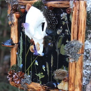 Tablou Natural Licheni Mușchi Craniu  - casă & stil de viață - accesorii pentru decorat casa - decorațiuni de pereți, decorațiuni suspendate - tablou cu licheni - Artynos.ro