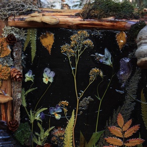 Tablou Natural Licheni Mușchi Flori - casă & stil de viață - accesorii pentru decorat casa - decorațiuni de pereți, decorațiuni suspendate - tablou cu licheni - Artynos.ro