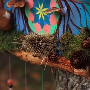 Tablou Natural Licheni Mușchi Copacul cu Mandala - casă & stil de viață - accesorii pentru decorat casa - decorațiuni de pereți, decorațiuni suspendate - tablou cu licheni - Artynos.ro