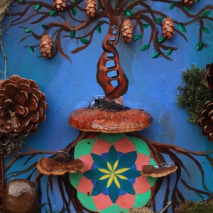 Tablou Natural Licheni Mușchi Copacul cu Mandala - casă & stil de viață - accesorii pentru decorat casa - decorațiuni de pereți, decorațiuni suspendate - tablou cu licheni - Artynos.ro