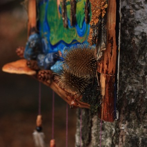 Tablou Natural Licheni Mușchi Rochia - casă & stil de viață - accesorii pentru decorat casa - decorațiuni de pereți, decorațiuni suspendate - tablou cu licheni - Artynos.ro