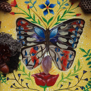 Tablou Natural Licheni Mușchi Fluturele - casă & stil de viață - accesorii pentru decorat casa - decorațiuni de pereți, decorațiuni suspendate - tablou cu licheni - Artynos.ro
