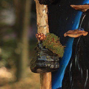 Tablou Natural Licheni Mușchi Portret - casă & stil de viață - accesorii pentru decorat casa - decorațiuni de pereți, decorațiuni suspendate - tablou cu licheni - Artynos.ro