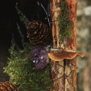 Tablou Natural Licheni Mușchi Cerbul - casă & stil de viață - accesorii pentru decorat casa - decorațiuni de pereți, decorațiuni suspendate - tablou cu licheni - Artynos.ro