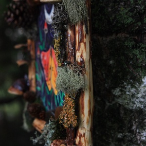 Tablou Natural Licheni Mușchi Fluturele Ciupercar - casă & stil de viață - accesorii pentru decorat casa - decorațiuni de pereți, decorațiuni suspendate - tablou cu licheni - Artynos.ro