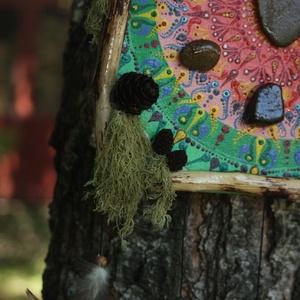 Tablou Natural Licheni Mușchi Mandala - casă & stil de viață - accesorii pentru decorat casa - decorațiuni de pereți, decorațiuni suspendate - tablou cu licheni - Artynos.ro
