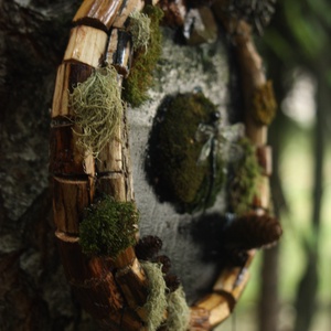 Tablou Natural Licheni Mușchi Libelula - casă & stil de viață - accesorii pentru decorat casa - decorațiuni de pereți, decorațiuni suspendate - tablou cu licheni - Artynos.ro