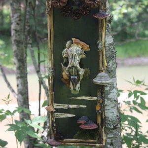 Tablou Natural Licheni Mușchi SkullArt - Artynos.ro