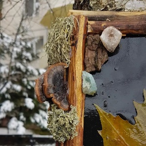 Tablou Natural Licheni Mușchi Frunză Verde - casă & stil de viață - accesorii pentru decorat casa - decorațiuni de pereți, decorațiuni suspendate - tablou cu licheni - Artynos.ro