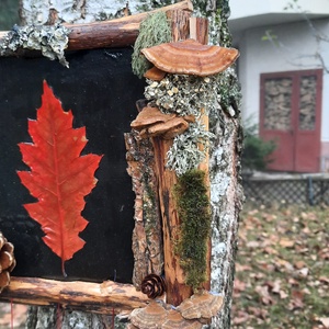 Tablou Natural Licheni Mușchi Frunză Roșie - casă & stil de viață - accesorii pentru decorat casa - decorațiuni de pereți, decorațiuni suspendate - tablou cu licheni - Artynos.ro