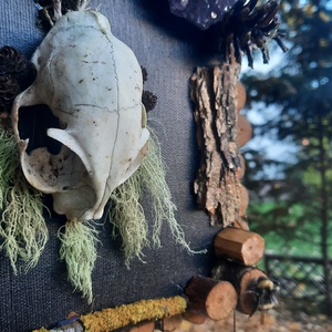 Tablou Natural Licheni Mușchi SkullArt - casă & stil de viață - accesorii pentru decorat casa - decorațiuni de pereți, decorațiuni suspendate - tablou cu licheni - Artynos.ro