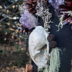 Tablou Natural Licheni Mușchi SkullArt - casă & stil de viață - accesorii pentru decorat casa - decorațiuni de pereți, decorațiuni suspendate - tablou cu licheni - Artynos.ro