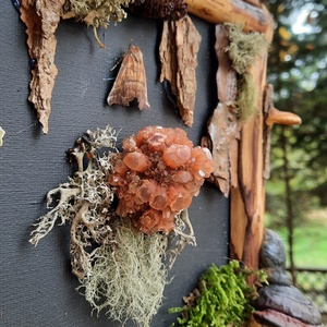 Tablou Natural Licheni Mușchi Aragonitul - casă & stil de viață - accesorii pentru decorat casa - decorațiuni de pereți, decorațiuni suspendate - tablou cu licheni - Artynos.ro