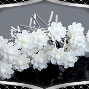Bijuterii, ornamente de păr, catarame de păr: nuntă, mireasă, ornament de păr casual ES-H-TŰ21 10pcs/pack -  - Artynos.ro