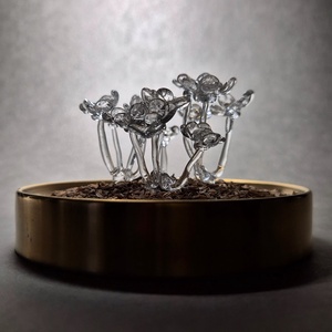 Carum Carvi, Casa & Stil de viata, Accesorii pentru decorat casa, Decoratiuni de masa si decoratiuni pentru rafturi , Decoratiuni de masa, Arta de sticla, ARTYNOS