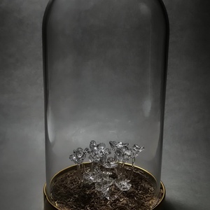 Carum Carvi - casă & stil de viață - accesorii pentru decorat casa - decorațiuni de masă și decorațiuni pentru rafturi  - decorațiuni de masă - Artynos.ro