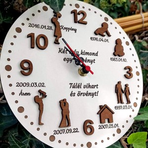O lectie personalizata, pe masura, despre istoria vietii, , , ARTYNOS