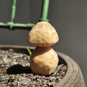 Hobbit 'shroom - arte vizuale și accesorii  - sculptură - statuie lemn - Artynos.ro