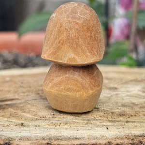 Simple 'shroom - arte vizuale și accesorii  - sculptură - statuie lemn - Artynos.ro