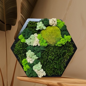 Tablou Hexagonal, cu licheni si muschi stabilizati, 32x27 cm - casă & stil de viață - accesorii pentru decorat casa - decorațiuni de pereți, decorațiuni suspendate - tablou cu licheni - Artynos.ro