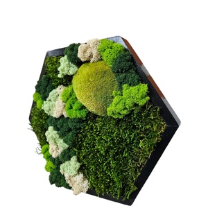 Tablou Hexagonal, cu licheni si muschi stabilizati, 32x27 cm - casă & stil de viață - accesorii pentru decorat casa - decorațiuni de pereți, decorațiuni suspendate - tablou cu licheni - Artynos.ro