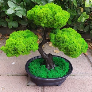 Bonsai cu licheni stabilizati, 25 cm - casă & stil de viață - accesorii pentru decorat casa - decorațiuni de pereți, decorațiuni suspendate - decorațiuni cu licheni - Artynos.ro