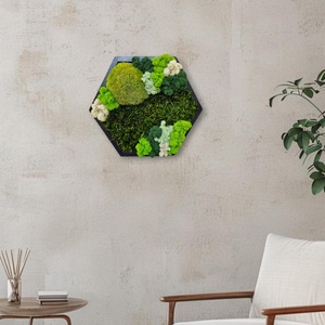 Tablou Hexagonal, cu licheni si muschi stabilizati, 32x27 cm - casă & stil de viață - accesorii pentru decorat casa - decorațiuni de pereți, decorațiuni suspendate - tablou cu licheni - Artynos.ro