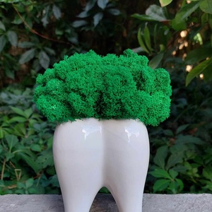 Aranjament, dinte molar ceramica, cu licheni stabilizati, H17 cm - casă & stil de viață - accesorii pentru decorat casa - decorațiuni de masă și decorațiuni pentru rafturi  - suport carte - Artynos.ro