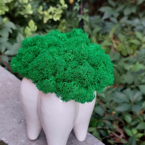 Aranjament, dinte molar ceramica, cu licheni stabilizati, H17 cm - casă & stil de viață - accesorii pentru decorat casa - decorațiuni de masă și decorațiuni pentru rafturi  - suport carte - Artynos.ro