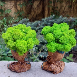 Aranjament I am Groot, Indragostiti, cu licheni stabilizati Premium, 2 buc, 13 cm - casă & stil de viață - accesorii pentru decorat casa - decorațiuni de masă și decorațiuni pentru rafturi  - bonsai, bonsai boluri, bonsai copac - Artynos.ro