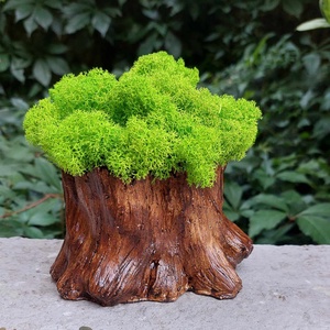 Aranjament cu licheni Buturuga, Casa & Stil de viata, Decoratiuni de casa, Accesorii florale, Flori in ghiveci, , ARTYNOS