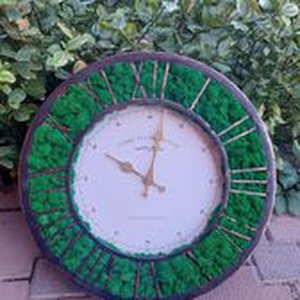 Ceas cu licheni, Casa & Stil de viata, Decoratiuni de casa, Decoratiuni de pereti, Ceasuri de perete, , ARTYNOS