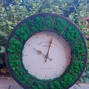 Ceas cu licheni - casă & stil de viață - decorațiuni de casă - decorațiuni de pereți - ceasuri de perete - Artynos.ro