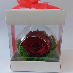 Trandafir criogenat in glob de sticla - Artynos.ro