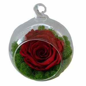 Trandafir criogenat in glob de sticla - casă & stil de viață - decorațiuni de casă - accesorii florale - cutii cu flori - Artynos.ro