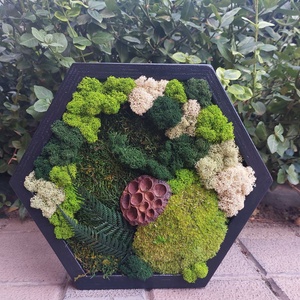 Tablou Hexagonal, cu licheni si muschi stabilizati, 32x27 cm - casă & stil de viață - decorațiuni de casă - decorațiuni de pereți - tablou cu licheni - Artynos.ro